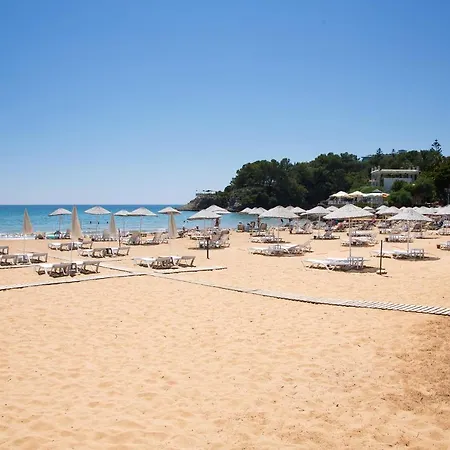 Art Life Flora в спальне нет окна Apartament