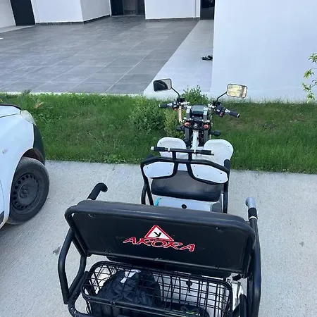 Lägenhet Art Life Flora в спальне нет окна